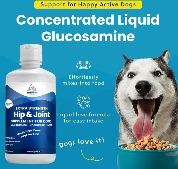 Paramount Pet Health Extra Strength Glucosamine Hip & Joint Supplement for Dogs