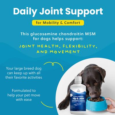 Show full view: Paramount Pet Health Extra Strength Glucosamine Hip & Joint Supplement for Dogs, 32-fl oz slide 7 of 11