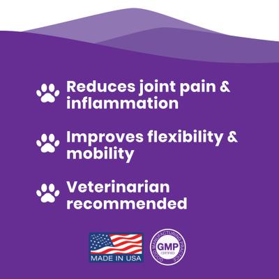 Show full view: Paramount Pet Health Glucosamine Hip & Joint Supplement for Small Dogs, 2-fl oz slide 10 of 11