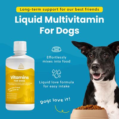 Show full view: Paramount Pet Health Liquid Vitamins Skin & Coat Support Dog Supplement, 32-fl oz bottle slide 4 of 11