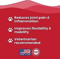 Paramount Pet Health Glucosamine Hip & Joint Supplement for Dogs, 32-fl oz bottle slide 2 of 9