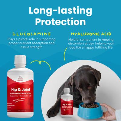 Show full view: Paramount Pet Health Glucosamine Hip & Joint Supplement for Dogs, 32-fl oz bottle slide 8 of 11