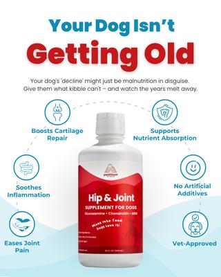 Show full view: Paramount Pet Health Glucosamine Hip & Joint Supplement for Dogs, 32-fl oz bottle slide 9 of 11