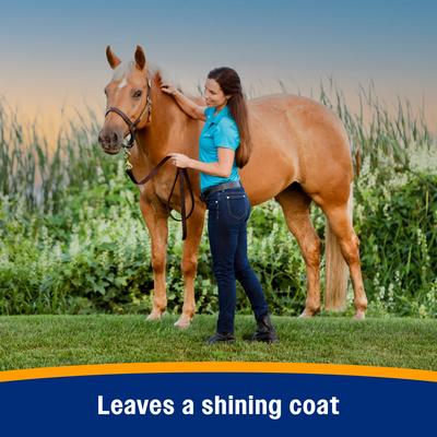 Show full view: Farnam Bronco Gold 2-in-1 Fly Horse Spray & Coat Conditioner, 1-qt bottle slide 5 of 9