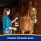 Show in main carousel: Farnam Bronco Gold 2-in-1 Fly Horse Spray & Coat Conditioner, 1-qt bottle slide 4 of 9