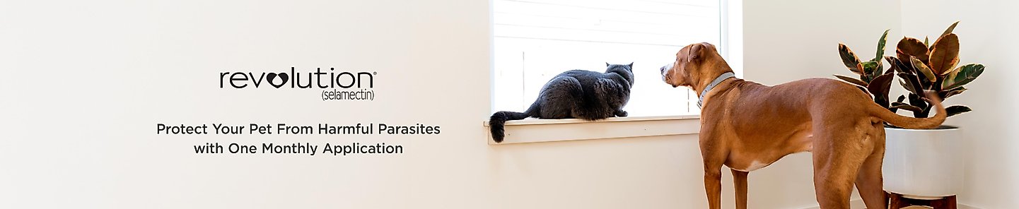 revolution (selamectin) protect your pet from harmful parasites with one monthly application