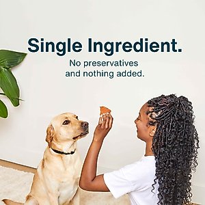 JustFoodForDogs Chicken Breast Dehydrated Dog Treats, 5-oz bag