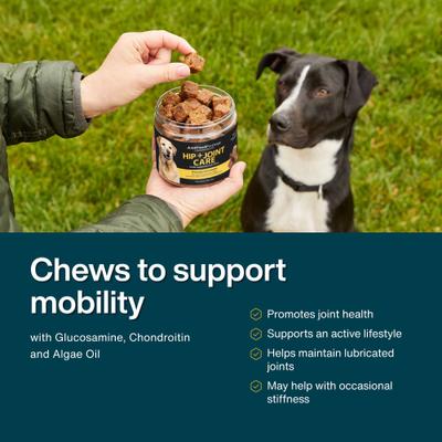 Show full view: JustFoodForDogs Hip & Joint Mobility with Glucosamine & Chondriotin, Superfood Blend, Human Grade, Plant-based Soft Chews Supplement for Dogs, 45 count slide 4 of 9