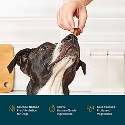 JustFoodForDogs Calming Support Stress & Anxiety, Melatonin, Relaxation Aid, Human-Grade Ingredients Soft Chew Supplement for Dogs, 45 count slide 2 of 7