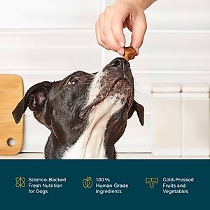 JustFoodForDogs Probiotic Booster Gut, Digestive Health Support, Diarrhea, Human Grade Ingredients Soft Chews Supplement for Dogs, 45 count