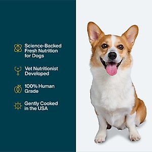 JustFoodForDogs Pantry Fresh Chicken & White Rice Fresh Dog Food, 12.5-oz pouch, case of 12