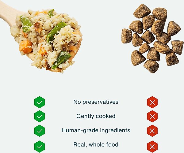 JustFoodForDogs Variety Pack Frozen Human-Grade Fresh Dog Food