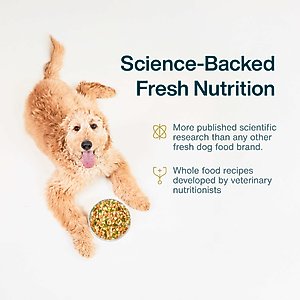 JustFoodForDogs Sampler Variety Box Frozen Human-Grade Fresh Dog Food, 18-oz pouch, case of 7