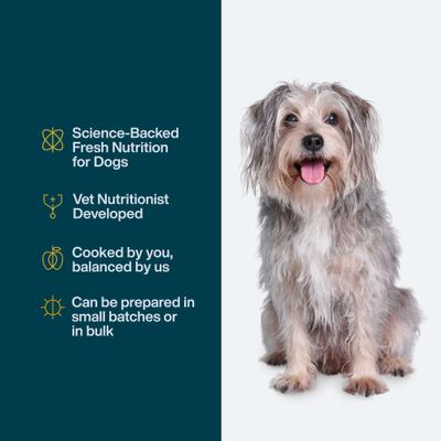 Show full view: JustFoodForDogs DoItYourself Turkey & Whole Wheat Macaroni Recipe Fresh Dog Food Recipe & Nutrient Blend, 4-oz bag slide 5 of 12