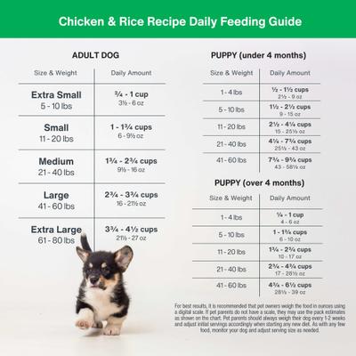 Show full view: JustFoodForDogs DoItYourself Chicken & White Rice Recipe Fresh Dog Food Recipe & Nutrient Blend, 7.93-oz bag slide 7 of 12