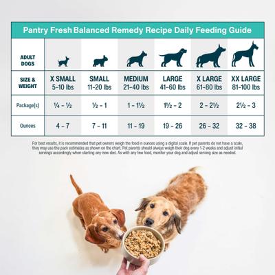 Show full view: JustFoodForDogs PantryFresh Balanced Remedy Recipe Fresh Dog Food, 12.5-oz pouch, case of 12 slide 6 of 12