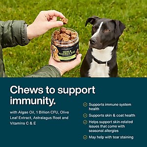 JustFoodForDogs Skin & Allergy Care, Seasonal Allergies, Itchy Skin, Inflammation, Immune Support Soft Chews Supplement for Dogs, 45 count