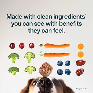 JustFoodForDogs Probiotic Booster Gut, Digestive Health Support, Diarrhea, Human Grade Ingredients Soft Chews Supplement for Dogs, 45 count
