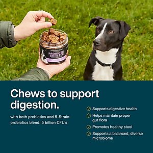 JustFoodForDogs Probiotic Booster Gut, Digestive Health Support, Diarrhea, Human Grade Ingredients Soft Chews Supplement for Dogs, 45 count