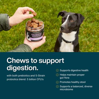 Show full view: JustFoodForDogs Probiotic Booster Gut, Digestive Health Support, Diarrhea, Human Grade Ingredients Soft Chews Supplement for Dogs, 45 count slide 4 of 9