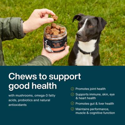 Show full view: JustFoodForDogs 10-in-1 Multifunctional, Superfood Blend, Glucosamine, Omega-3 Fatty Acids, Skin Health, Joint Health, Probiotics, Plant-Based, Human Grade Chew Supplement for Dogs, 45 count slide 4 of 9