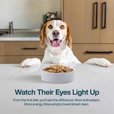 JUSTFOODFORDOGS Turkey Whole Wheat Macaroni Recipe Frozen Human