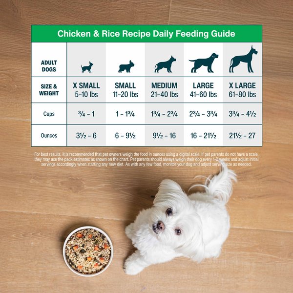 How Much Raw Food for 40 Lb Dog: Expert Feeding Guide