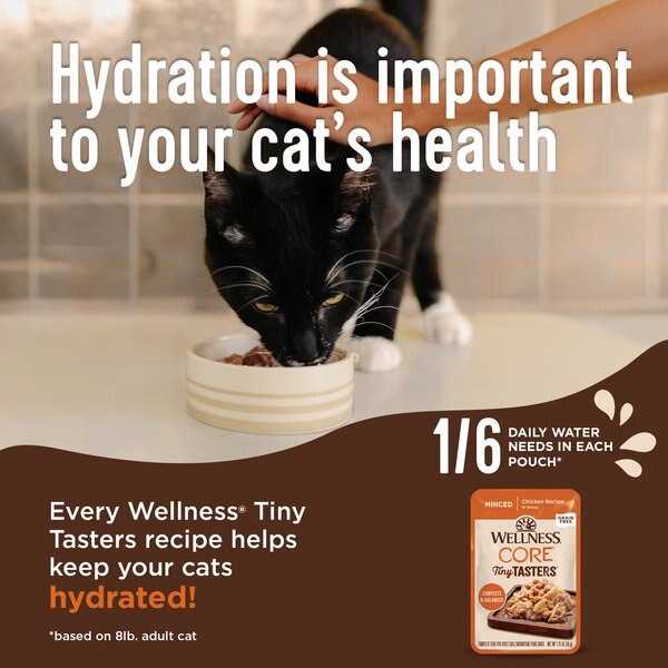 Wellness CORE Tiny Tasters Kitten Chicken Grain-Free Variety Pack Wet Cat Food, 1.75-oz pouch, case of 12