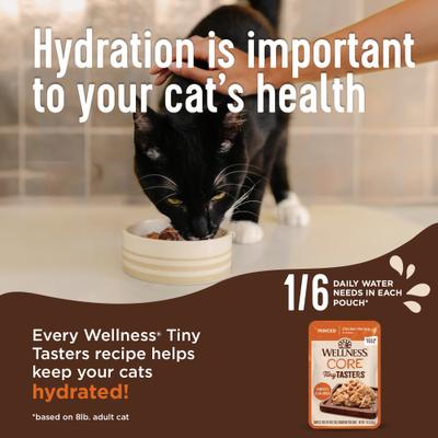Show full view: Wellness CORE Tiny Tasters Adult Seafood & Poultry Variety Pack Grain-Free Wet Cat Food, 1.75-oz pouch, 12 count slide 5 of 10