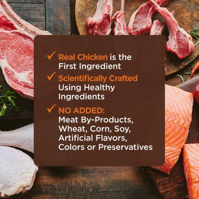 Show full view: Wellness CORE Tiny Tasters Kitten Chicken Grain-Free Variety Pack Wet Cat Food, 1.75-oz pouch, case of 12 slide 7 of 11