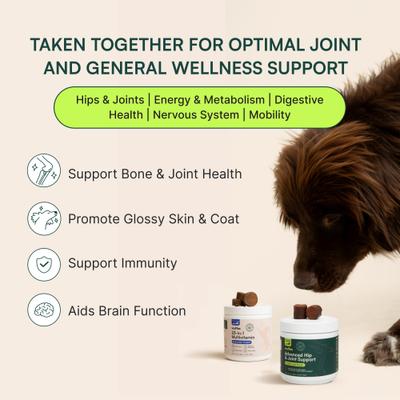 Show full view: Wuffes Bundle 23-in-1 Multivitamin, 30 count & Hip & Joint Supplement for Large Breed Dogs, 30 count slide 3 of 7