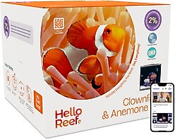 HelloReef Clownfish & Anemone Saltwater Aquarium Starter Kit, 15-gal