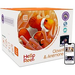 HelloReef Clownfish & Anemone Saltwater Aquarium Starter Kit, 15-gal