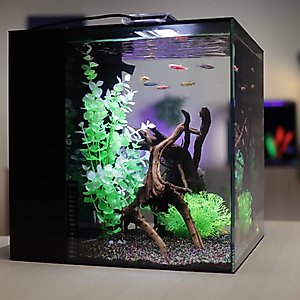 HelloReef Glofish Aquarium Kit, 15-gal