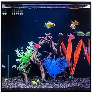 HelloReef Glofish Aquarium Kit, 15-gal