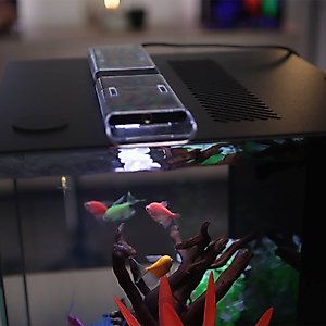 HelloReef Glofish Aquarium Kit, 15-gal