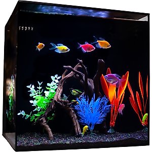 HelloReef Glofish Aquarium Kit, 15-gal