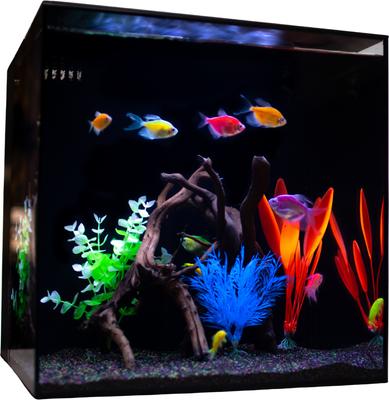 HelloReef GloFish Aquarium Kit, 15 Gallons