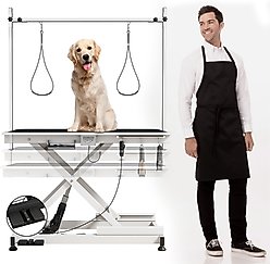 Cesicia Electric Adjustable Height Dog Grooming Table