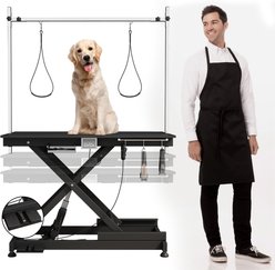 Cesicia Electric Dog Grooming Table