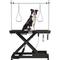 Show in main carousel: Cesicia Electric Dog Grooming Table slide 3 of 9