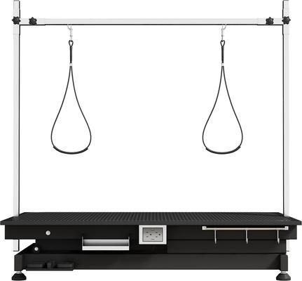 Show full view: Cesicia Electric Dog Grooming Table slide 4 of 9