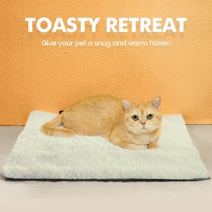 Mora Pets Self-Warming Cat Bed with Removable Cover, Beige, Small