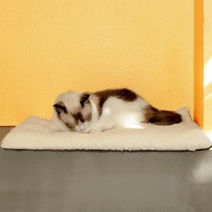 Mora Pets Self-Warming Cat Bed with Removable Cover, Beige, Small