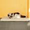 Show in main carousel: Mora Pets Self-Warming Cat Bed with Removable Cover, Beige, Small slide 9 of 11