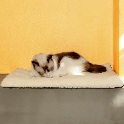 Show full view: Mora Pets Self-Warming Cat Bed with Removable Cover, Beige, Small slide 9 of 11