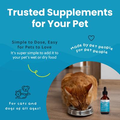 Show full view: Paramount Pet Health Omega-3 Fish Oil Dog & Cat Supplement, 2-fl oz bottle slide 6 of 11