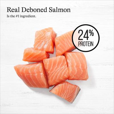 Show full view: American Journey Protein & Grains Large Breed Salmon, Brown Rice & Vegetables Recipe Dry Dog Food, 56-lb bundle slide 5 of 11