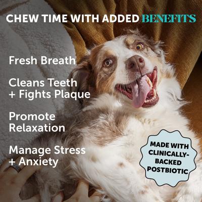 Show full view: Pet Honesty Hemp Calming Pumpkin Flavored Dental Sticks for Dogs, 30 count slide 3 of 12