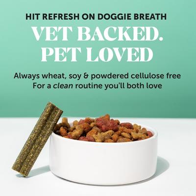 Show full view: Pet Honesty Dental Health Fresh Sticks Mint Plaque Off Dental & Teeth Cleaning Dog Dental Chews, 16 count slide 7 of 12